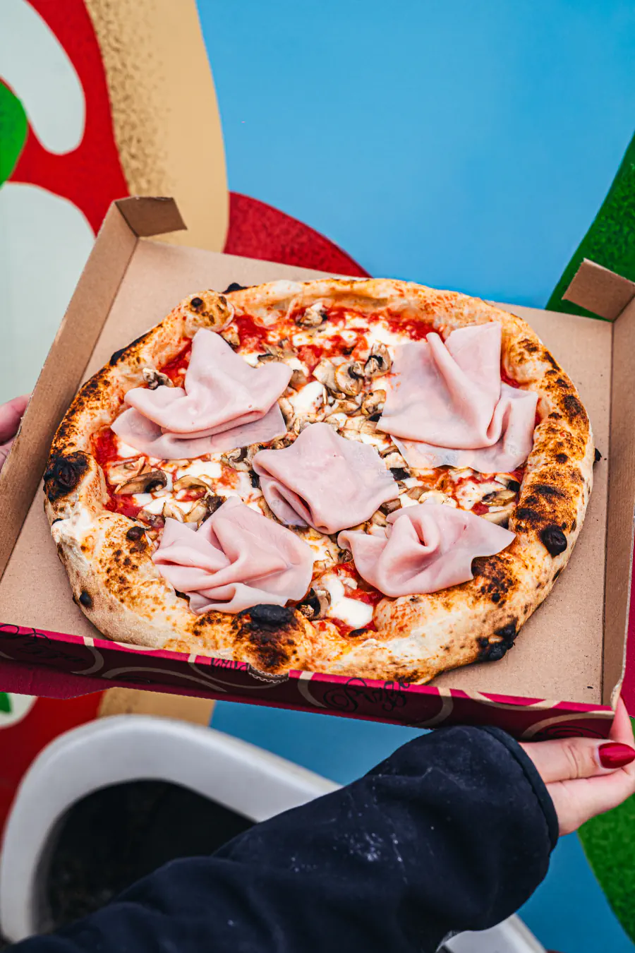 Pizza Funghi